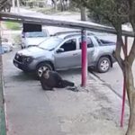Hombre se resistió al robo de su camioneta en La Matanza y terminó baleado
